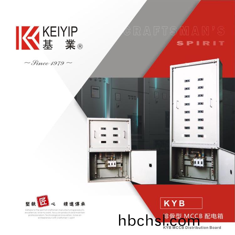 KYB排(pai)骨型MCCB配電(dian)箱
