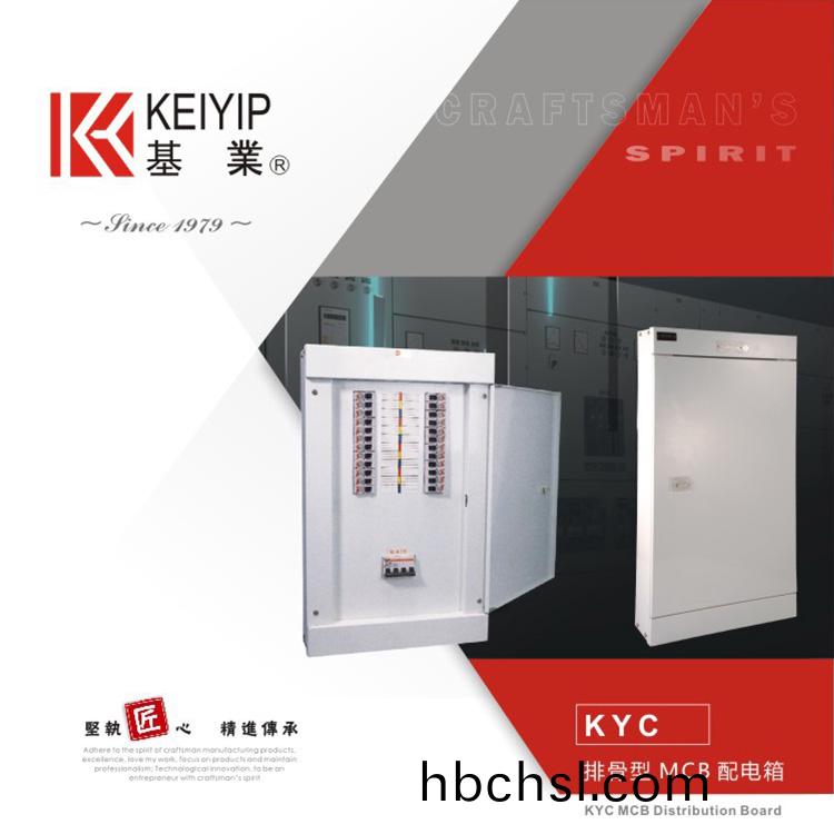 KYC排(pai)骨(gu)型MCB配(pei)電箱(xiang)